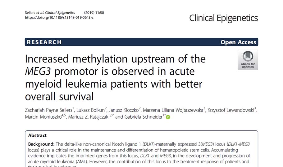 Increased methylation upstream of the MEG3 promotor is observed in acute myeloid leukemia patients with better overall survival