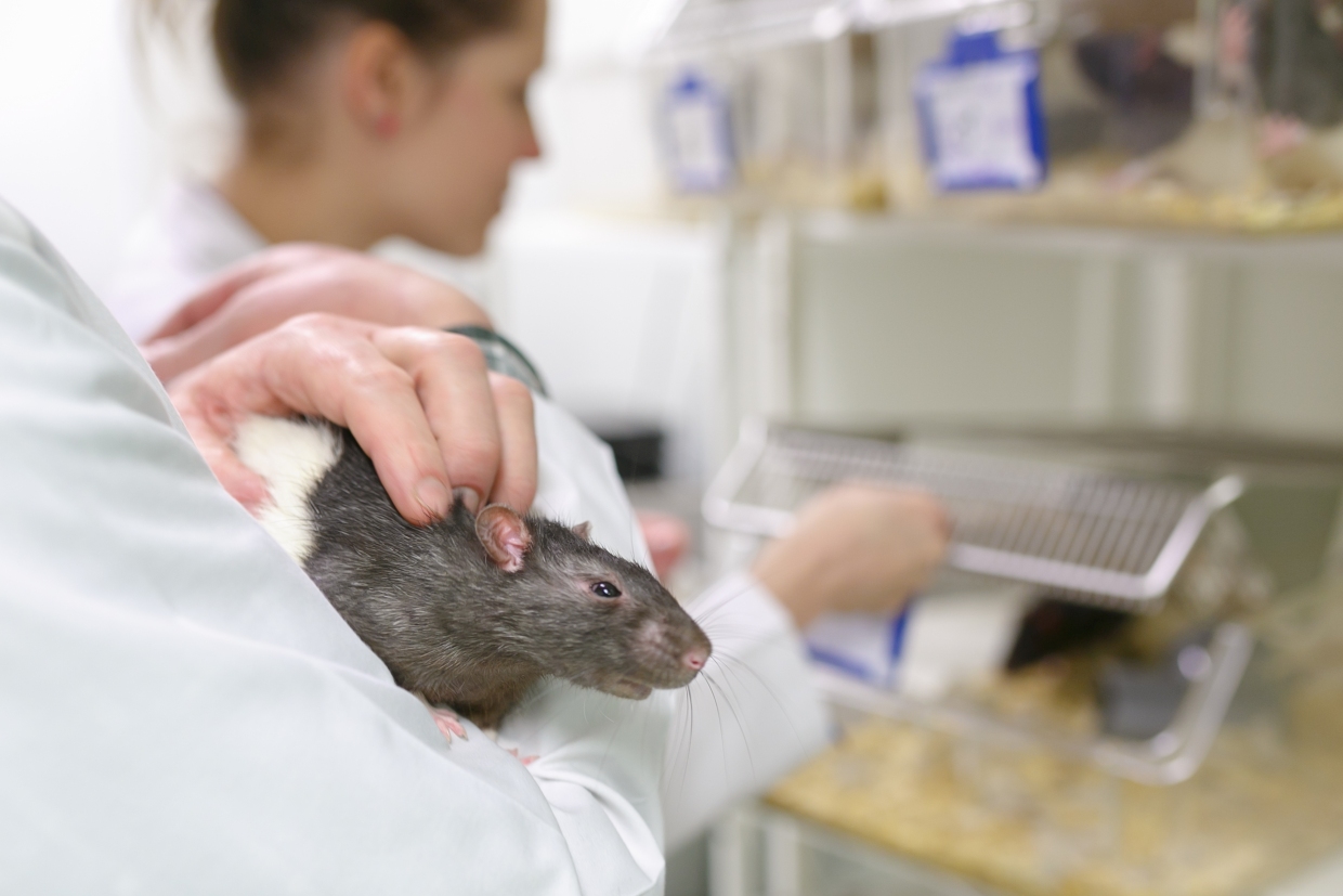 Środowiskowe Laboratorium Fizjologii Doświadczalnej i Klinicznej